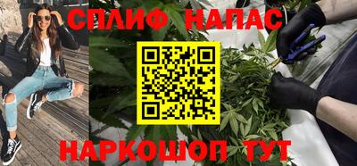 твердый Будённовск