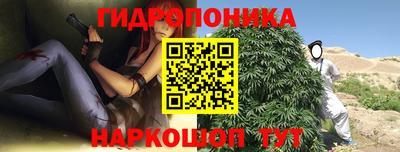 твердый Будённовск