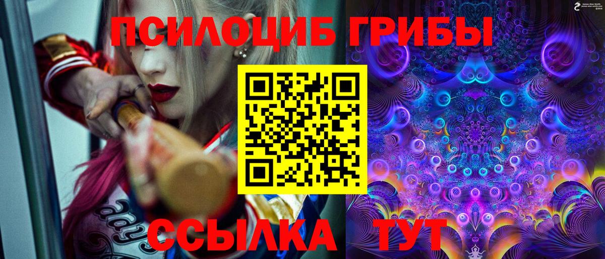 Псилоцибиновые грибы мицелий Симферополь