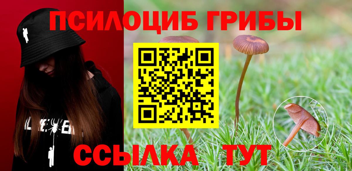 Симферополь  Псилоцибиновые грибы Cubensis  Вход с VPN 